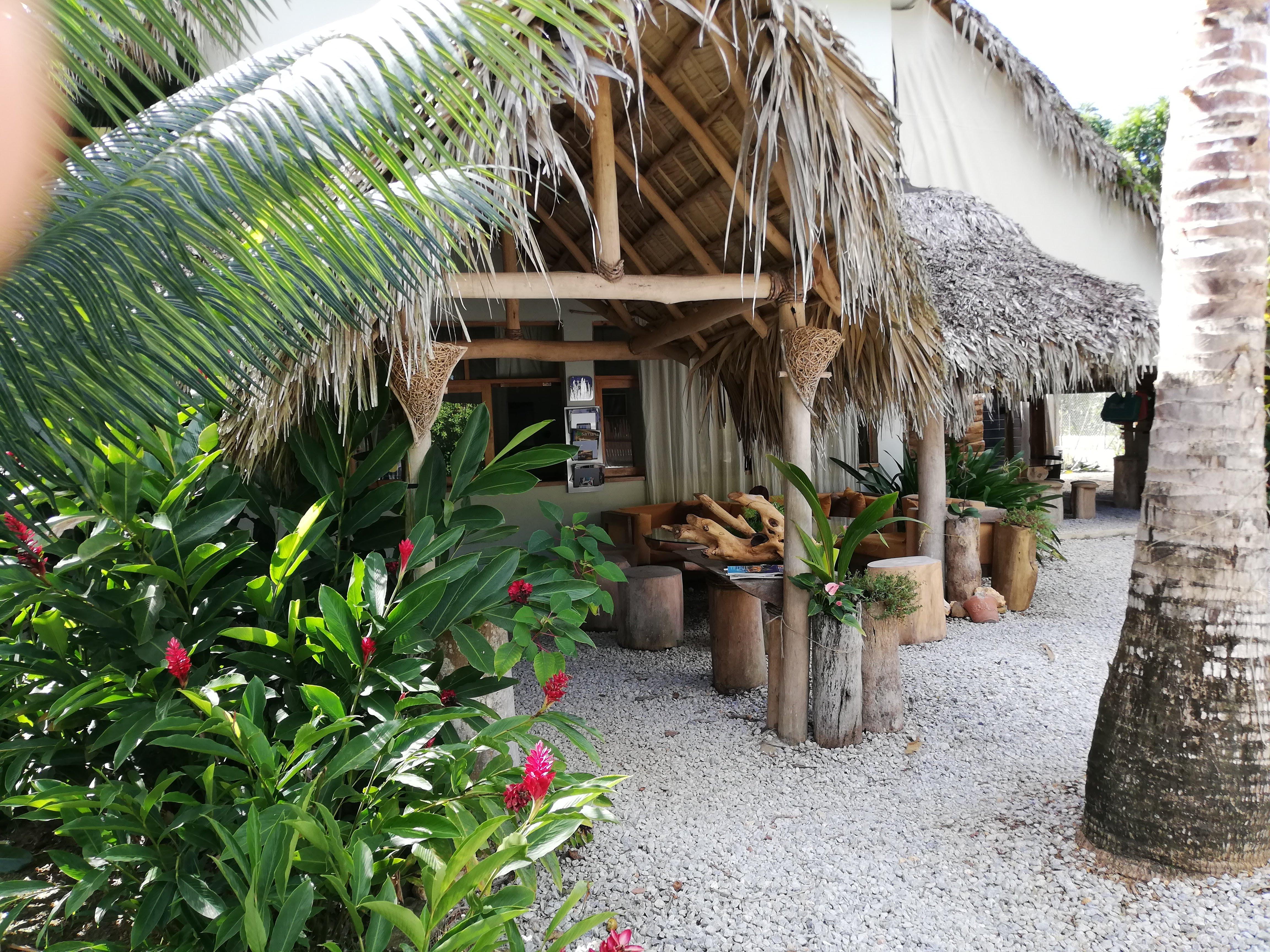 Residencia El Balata Lejlighedshotel Las Terrenas Eksteriør billede